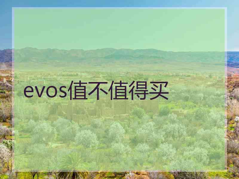 evos值不值得买