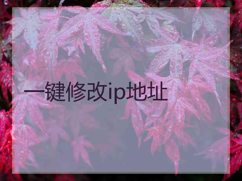 一键修改ip地址