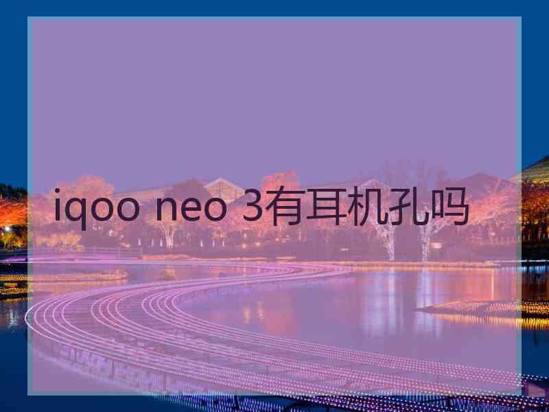 iqoo neo 3有耳机孔吗