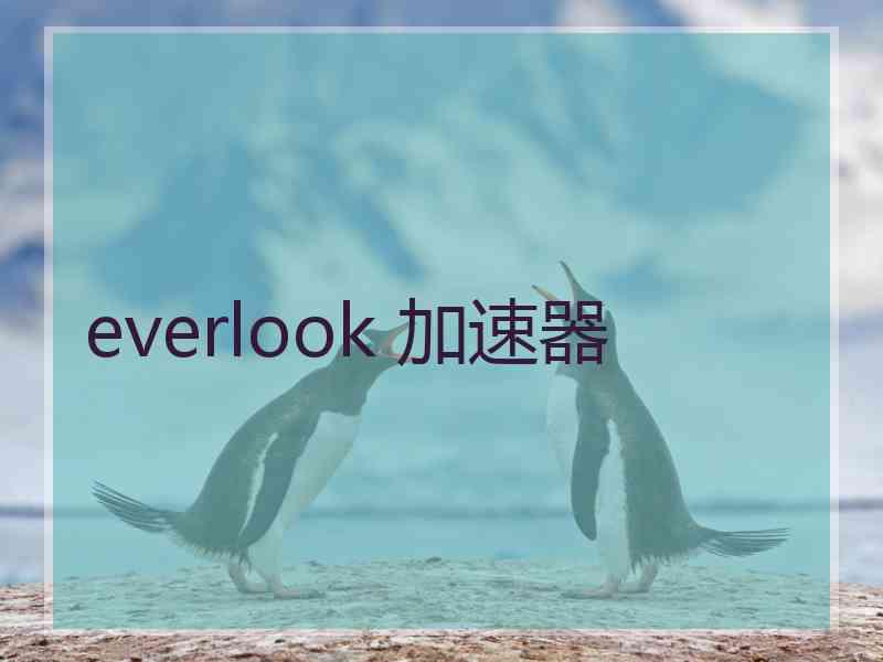 everlook 加速器