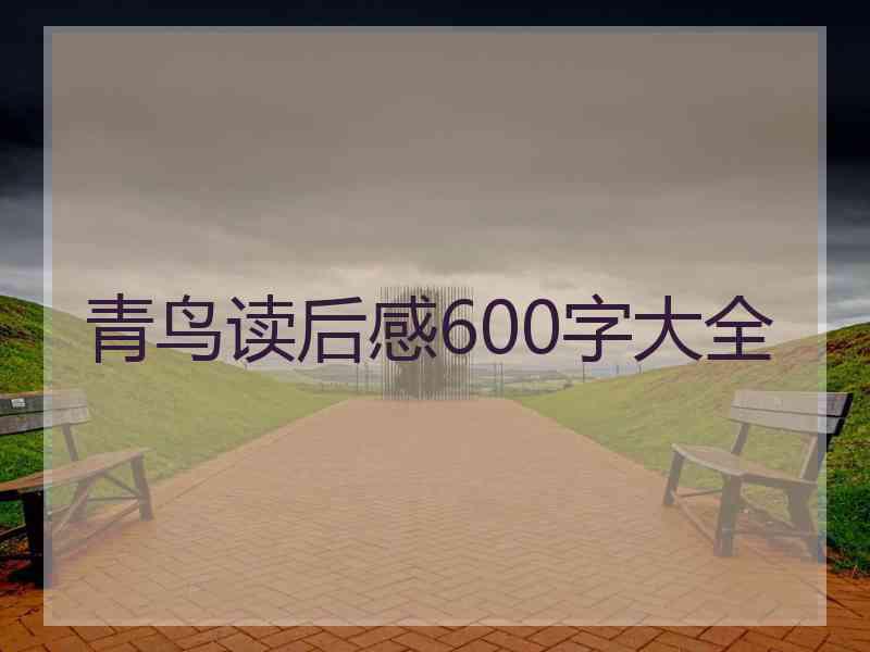 青鸟读后感600字大全