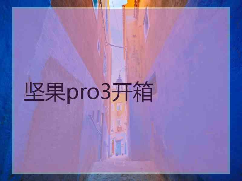 坚果pro3开箱