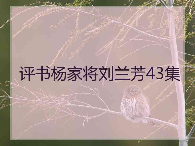 评书杨家将刘兰芳43集