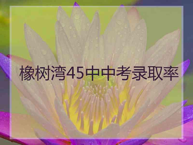 橡树湾45中中考录取率