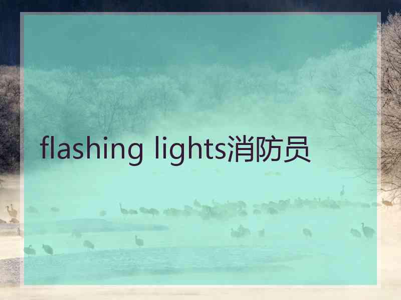 flashing lights消防员