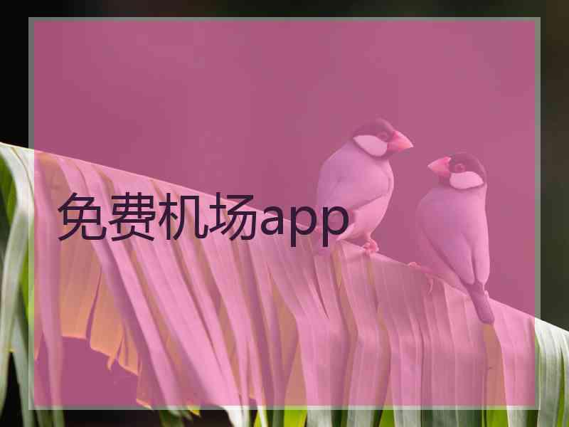 免费机场app