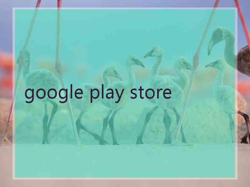 google play store