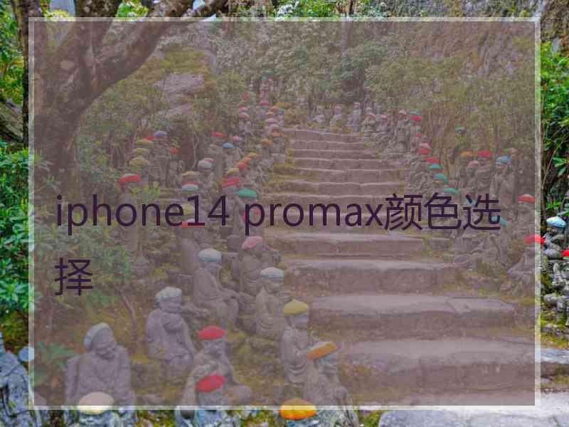 iphone14 promax颜色选择