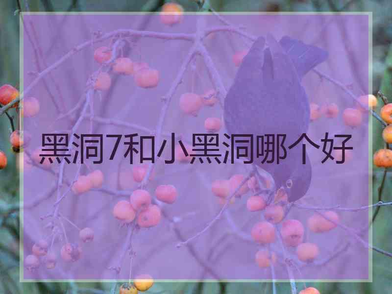 黑洞7和小黑洞哪个好