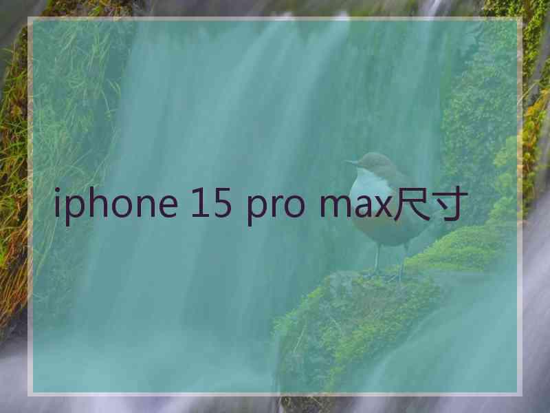 iphone 15 pro max尺寸