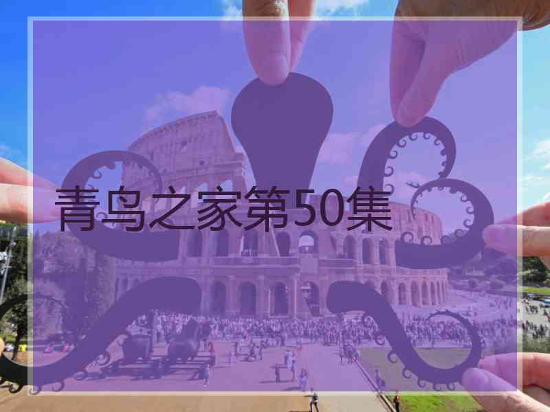 青鸟之家第50集