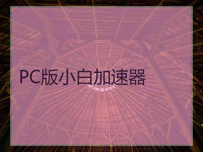 PC版小白加速器