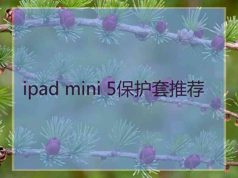 ipad mini 5保护套推荐