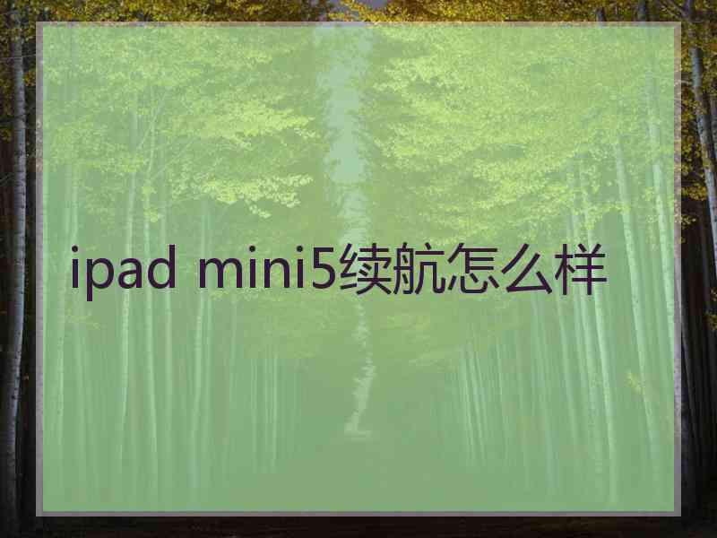 ipad mini5续航怎么样