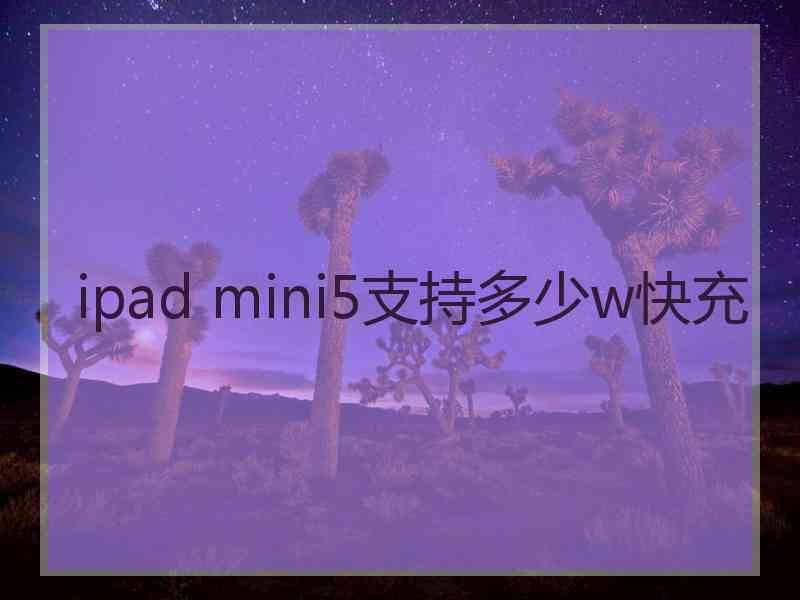 ipad mini5支持多少w快充