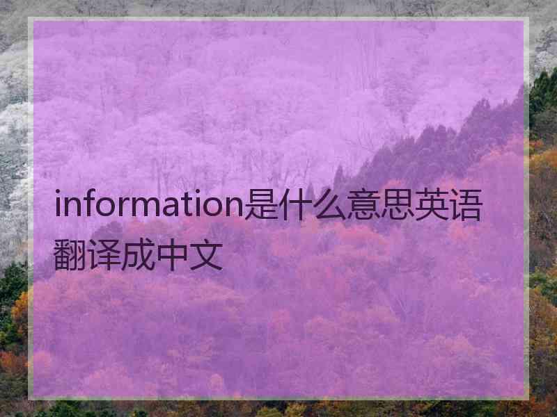 information是什么意思英语翻译成中文