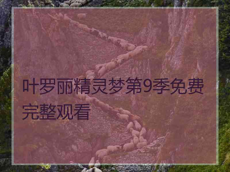 叶罗丽精灵梦第9季免费完整观看