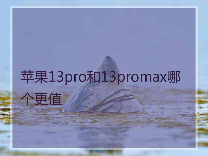 苹果13pro和13promax哪个更值