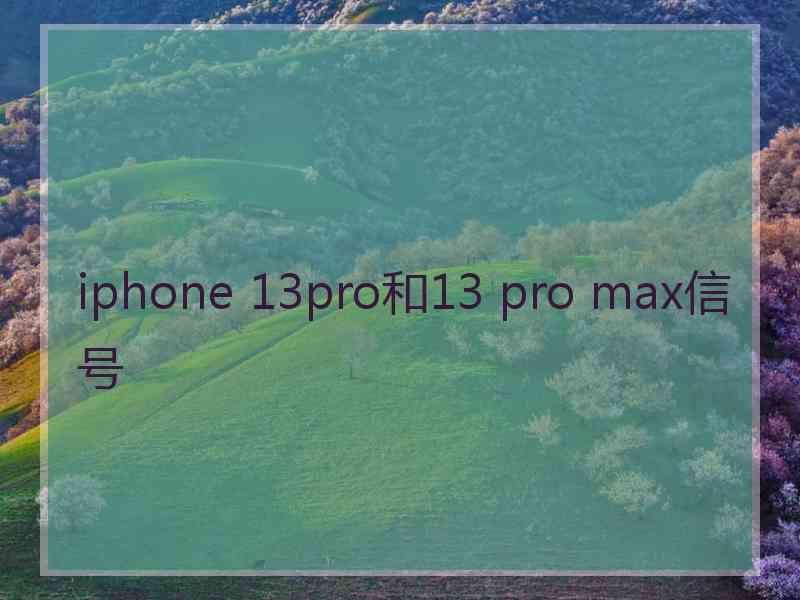 iphone 13pro和13 pro max信号