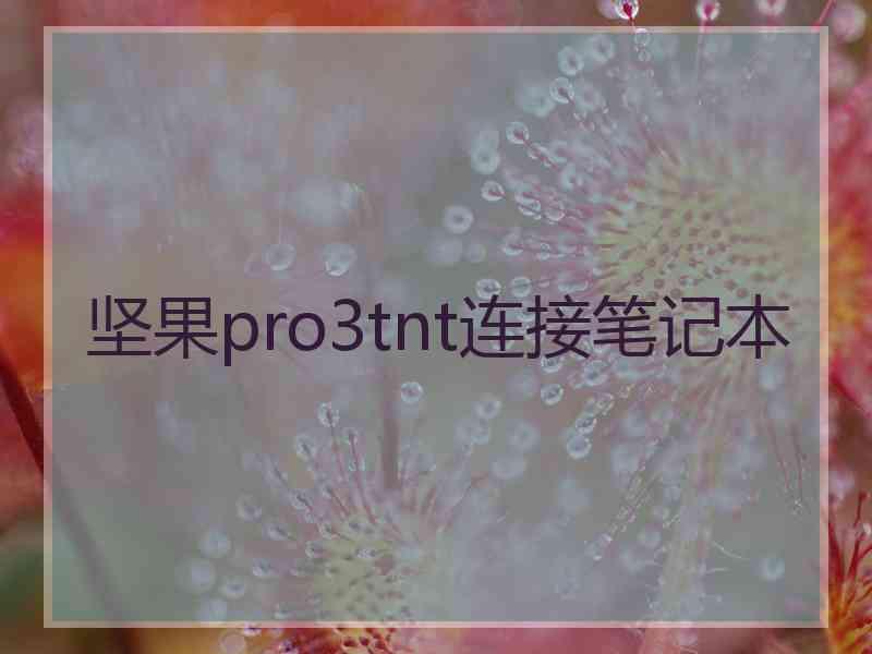 坚果pro3tnt连接笔记本