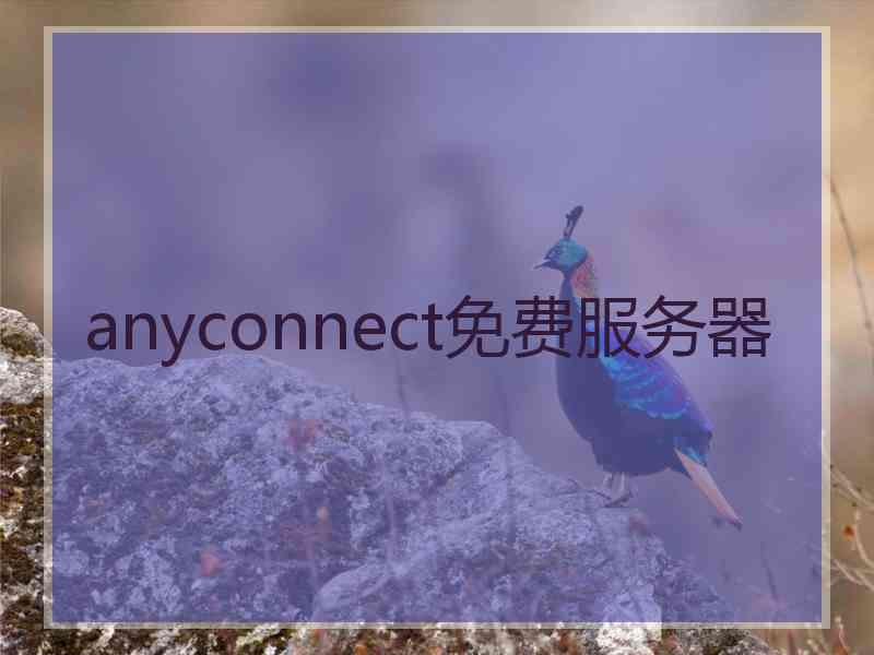 anyconnect免费服务器