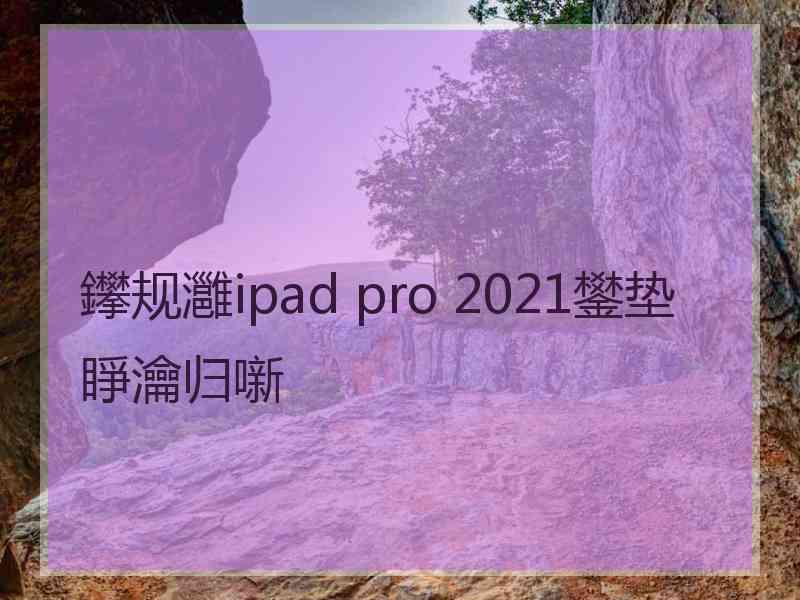 鑻规灉ipad pro 2021鐢垫睜瀹归噺