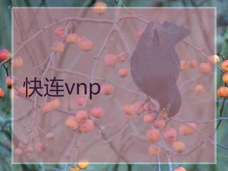 快连vnp