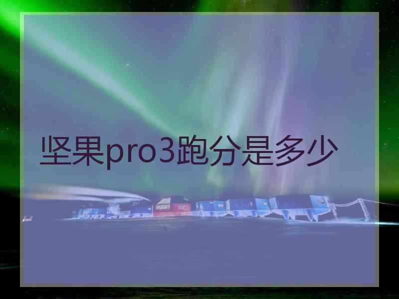 坚果pro3跑分是多少