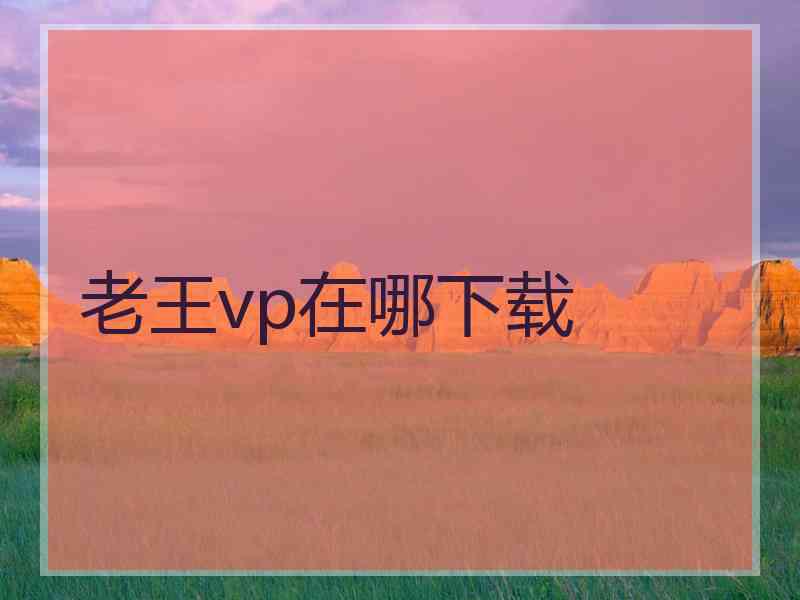 老王vp在哪下载