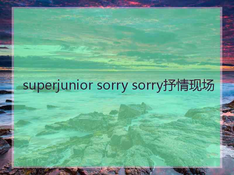 superjunior sorry sorry抒情现场