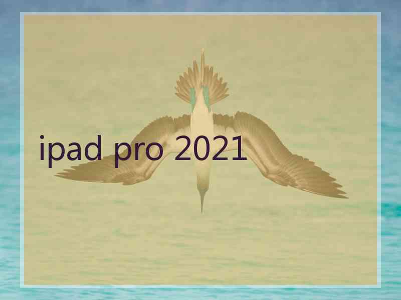 ipad pro 2021