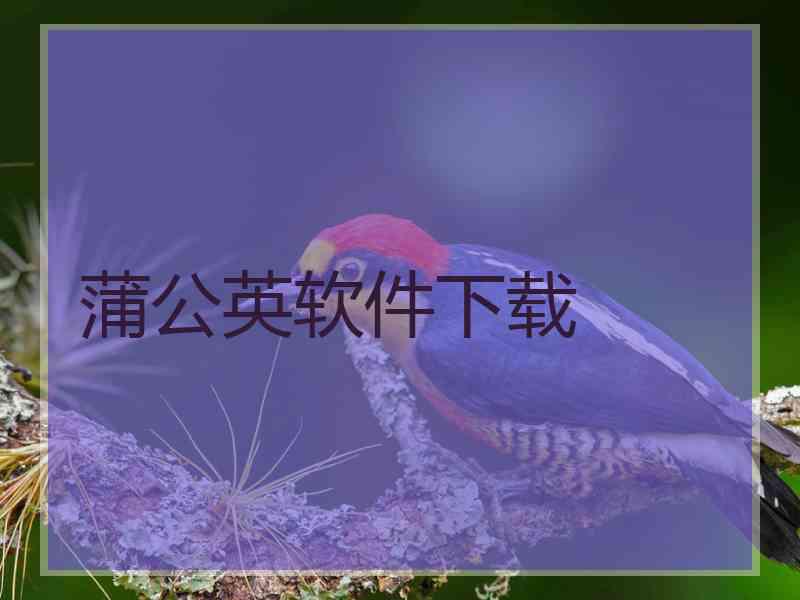 蒲公英软件下载