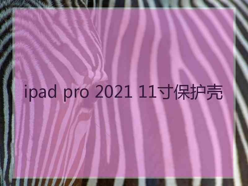 ipad pro 2021 11寸保护壳