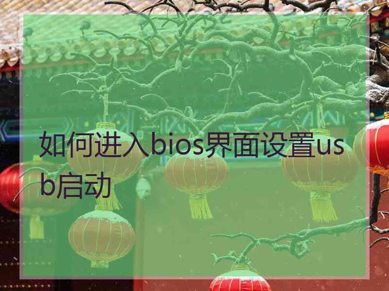 如何进入bios界面设置usb启动