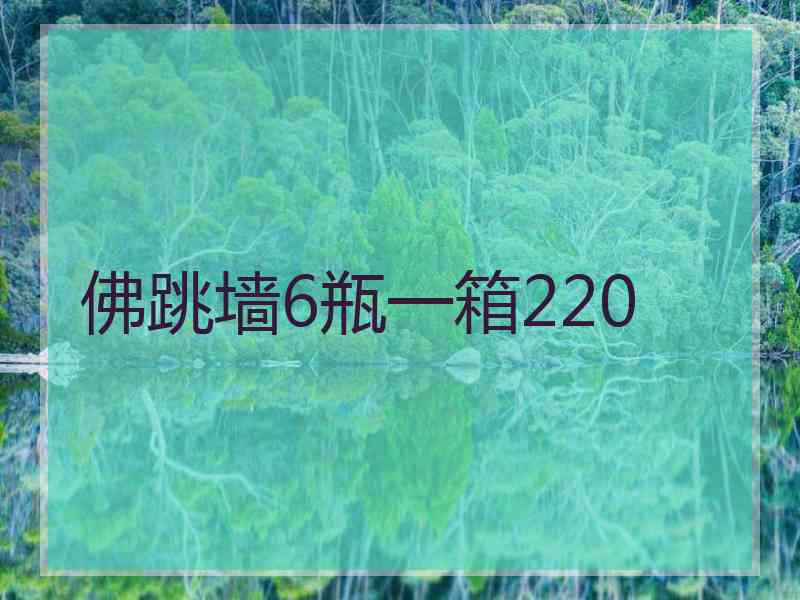 佛跳墙6瓶一箱220