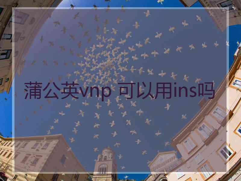 蒲公英vnp 可以用ins吗