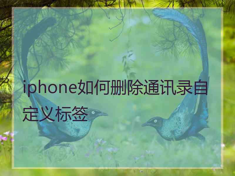 iphone如何删除通讯录自定义标签