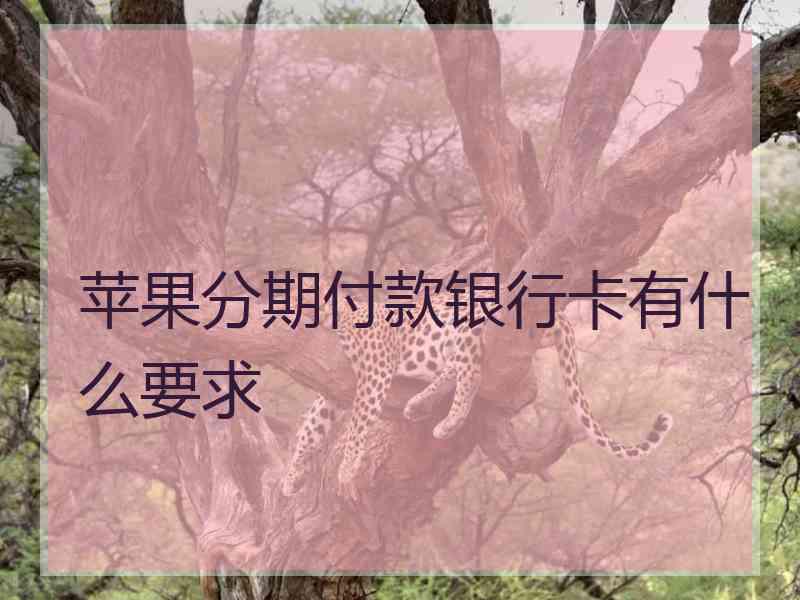 苹果分期付款银行卡有什么要求