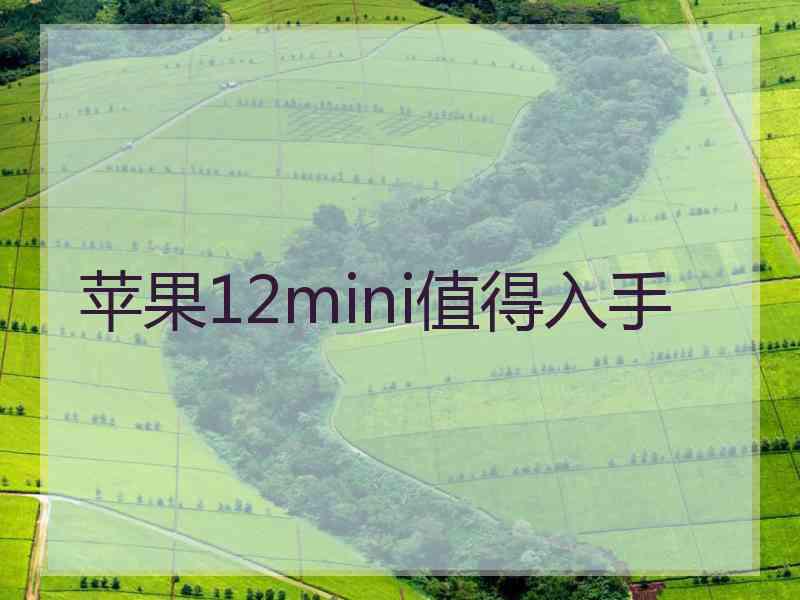 苹果12mini值得入手