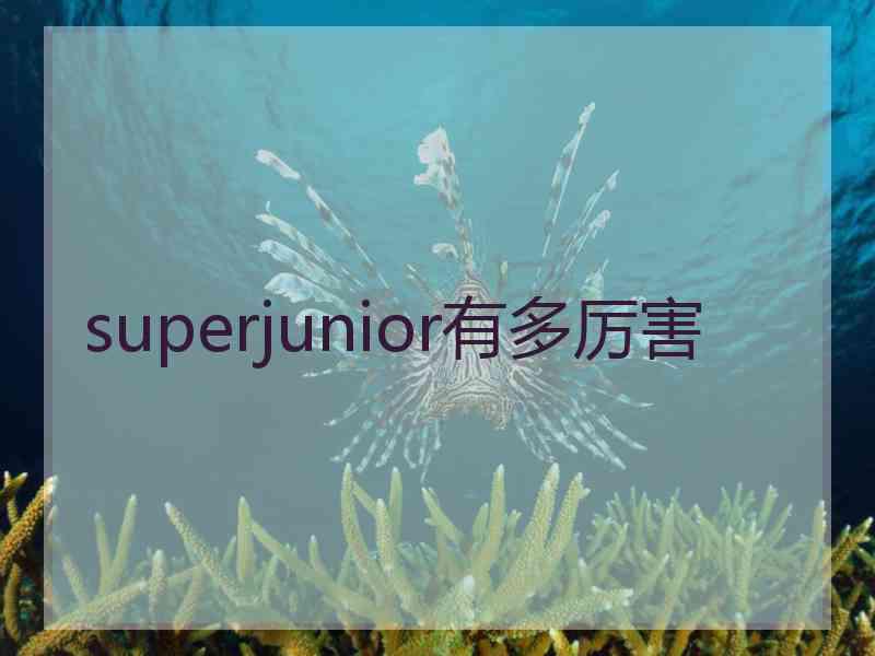 superjunior有多厉害