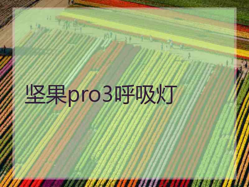 坚果pro3呼吸灯