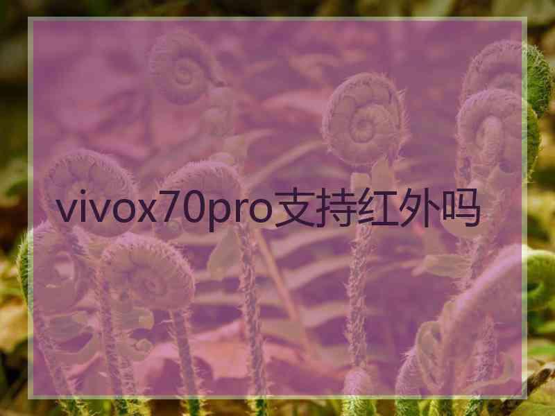 vivox70pro支持红外吗