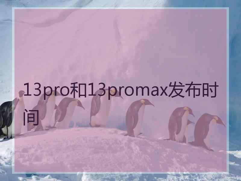 13pro和13promax发布时间