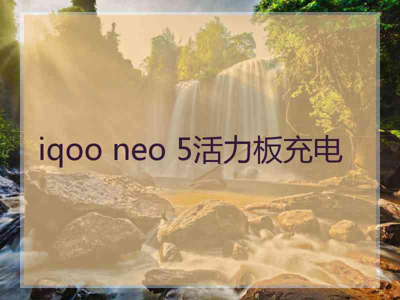 iqoo neo 5活力板充电