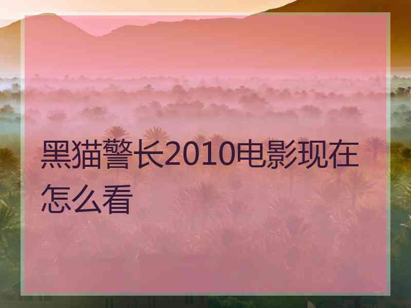 黑猫警长2010电影现在怎么看