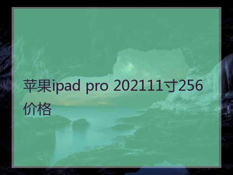 苹果ipad pro 202111寸256价格