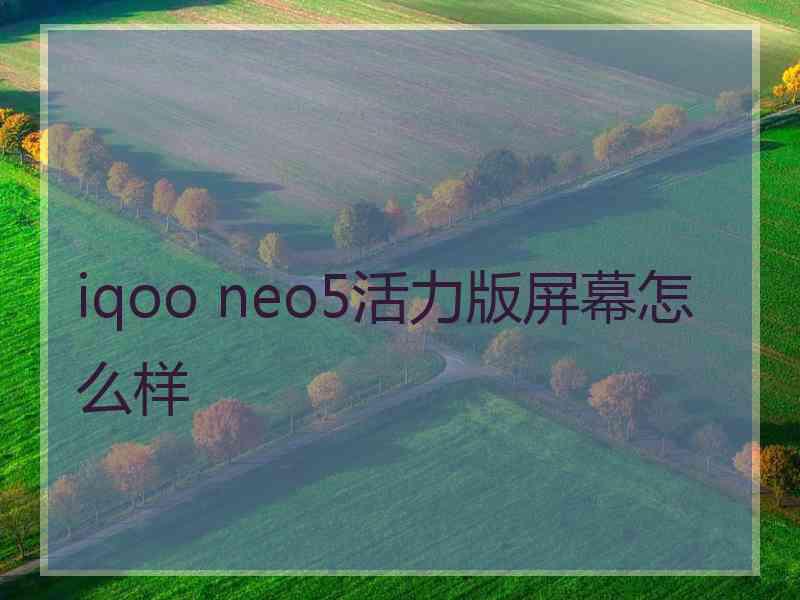 iqoo neo5活力版屏幕怎么样