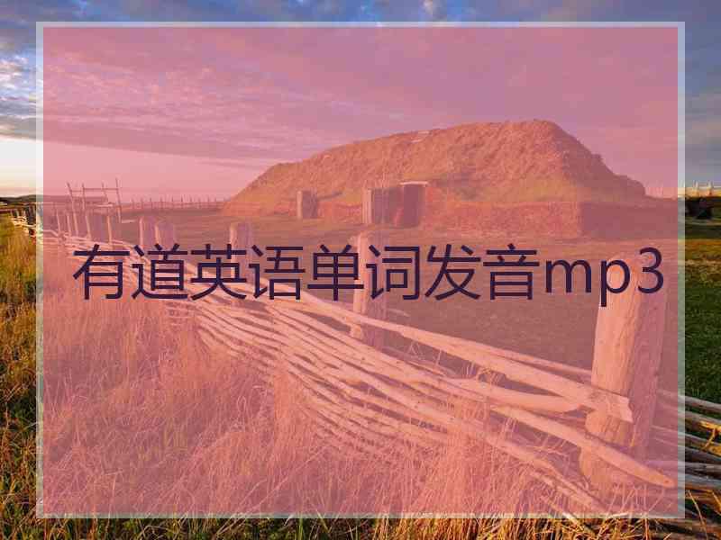 有道英语单词发音mp3