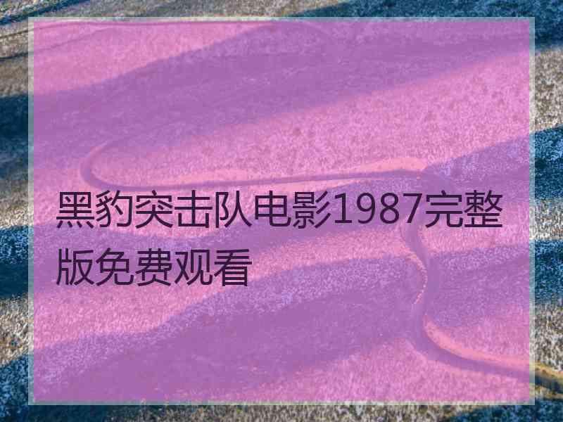 黑豹突击队电影1987完整版免费观看