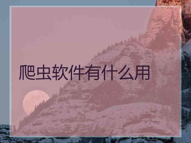 爬虫软件有什么用